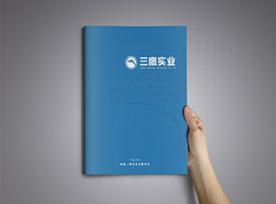 河南三鷹實(shí)業(yè)畫(huà)冊設計